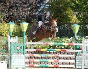 Falzini Idea meravigliosa GioCav2013 S6 7542 : Campionati Italiani Giovani Cavalli, Cattolica, Falzini Stefano, Idea meravigliosa, ph Stefano Secchi ©